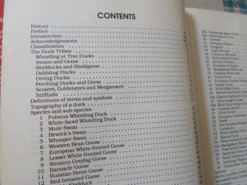 DUCKS GEESE AND SWANS OF AFRICA AND IT'S OUTLYING ISLANDS - NEVILLE BRICKELL