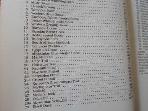 DUCKS GEESE AND SWANS OF AFRICA AND IT'S OUTLYING ISLANDS - NEVILLE BRICKELL