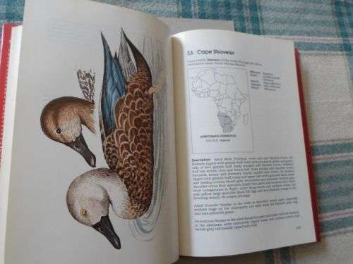 DUCKS GEESE AND SWANS OF AFRICA AND IT'S OUTLYING ISLANDS - NEVILLE BRICKELL