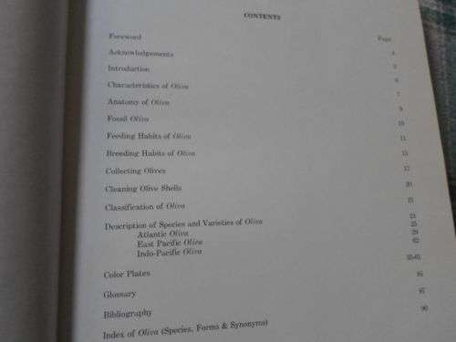 OLIVE SHELLS OF THE WORLD - ROWLAND F ZEIGLER AND HUMBERT C PORRECA