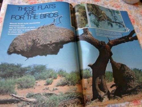 PERSONALITY MAGAZINE 17 DECEMBER 1971