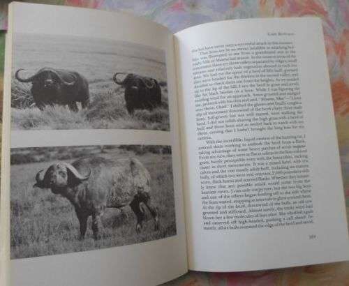 DEATH IN THE LONG GRASS - A BIG GAME HUNTER'S ADVENTURES IN THE AFRICAN BUSH - PETER HATHAWAY CAPS..