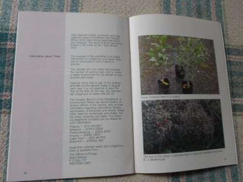 TREE OF THE YEAR 1988 - OLEA SPECIES - C DYER & C.J. ESTERHUYSE