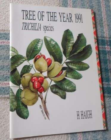 TREE OF THE YEAR 1991 - TRICHILIA SPECIES - H HAIGH