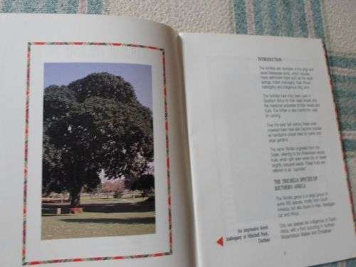 TREE OF THE YEAR 1991 - TRICHILIA SPECIES - H HAIGH