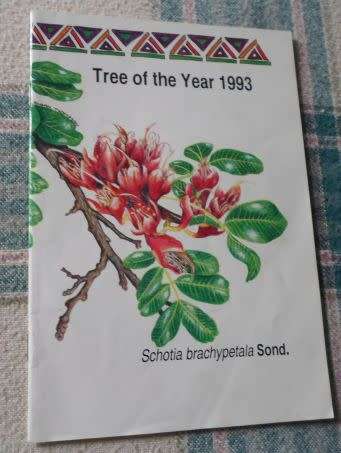TREE OF THE YEAR 1993 - SCHOTIA BRACHYPETALA SOND.