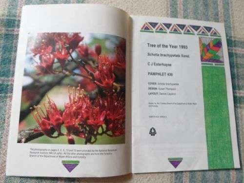 TREE OF THE YEAR 1993 - SCHOTIA BRACHYPETALA SOND.