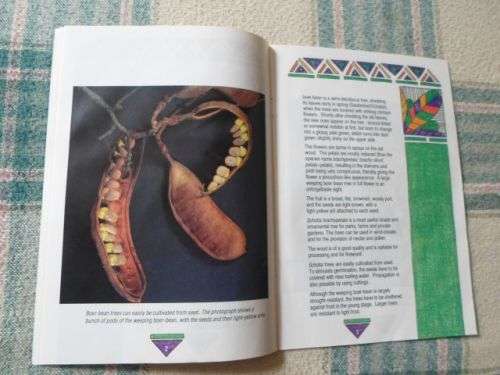 TREE OF THE YEAR 1993 - SCHOTIA BRACHYPETALA SOND.