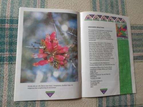 TREE OF THE YEAR 1993 - SCHOTIA BRACHYPETALA SOND.