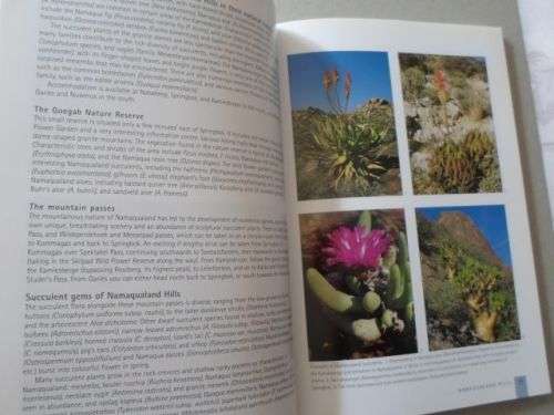 SUCCULENTS OF SOUTH AFRICA - ERNST VAN JAARSVELD , BER-ERIK VAN WYK , GIDEON SMITH , ELISE BODLEY