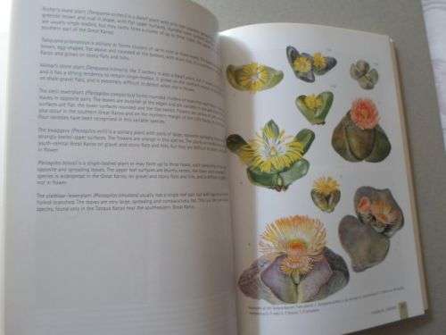 SUCCULENTS OF SOUTH AFRICA - ERNST VAN JAARSVELD , BER-ERIK VAN WYK , GIDEON SMITH , ELISE BODLEY
