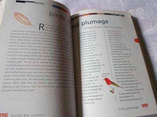 NEWMAN'S BIRDS BY COLOUR - KENNETH NEWMAN