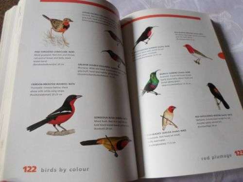 NEWMAN'S BIRDS BY COLOUR - KENNETH NEWMAN