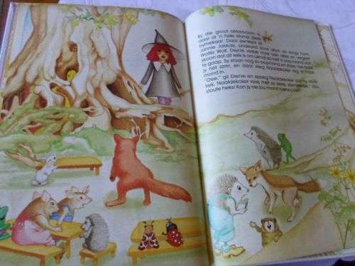 DOM DIENIE HEKS - BERNE NIGHTINGALE , ILLUSTRASIES CHERYL FYFE ( gewig 0,20 kg )