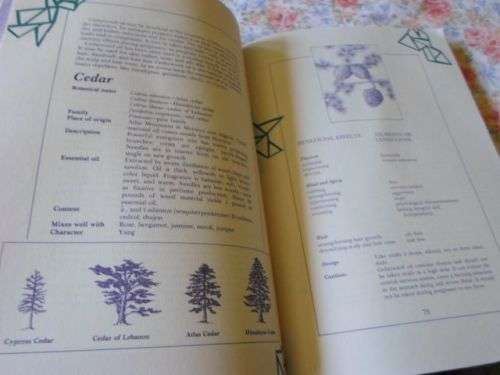 COMPLETE AROMATHERAPY HANDBOOKS - ESSENTIAL OILS FOR RADIANT HEALTH - SUSANNE FISCHER-RIZZI