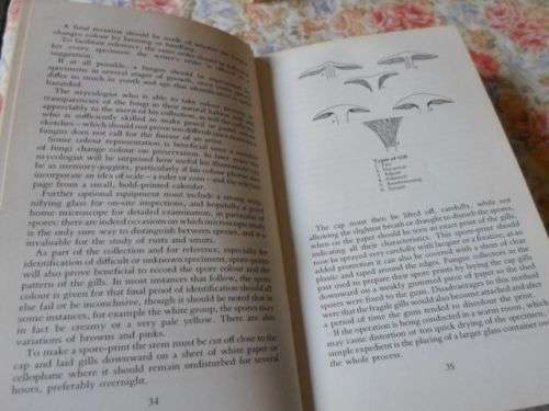 COLLECTING AND STUDYING MUSHROOMS , TOADSTOOLS AND FUNGI - ALAN MAJOR ( weight 0,40 kg )