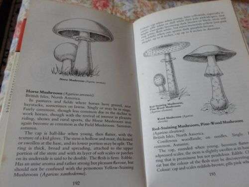 COLLECTING AND STUDYING MUSHROOMS , TOADSTOOLS AND FUNGI - ALAN MAJOR ( weight 0,40 kg )