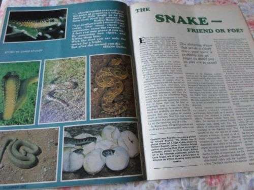 SA MAN / MAGNUM MAGAZINE DECEMBER 1983