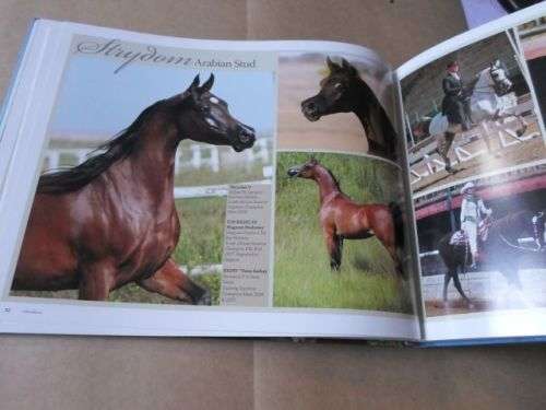 ARABIANS OF SOUTHERN AFRICA 2009