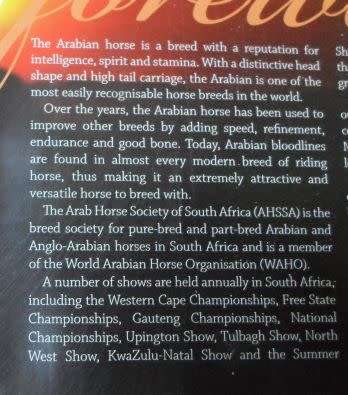 ARABIANS OF SOUTHERN AFRICA 2009