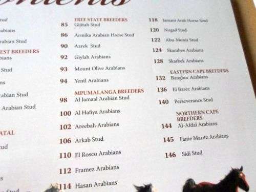 ARABIANS OF SOUTHERN AFRICA 2009