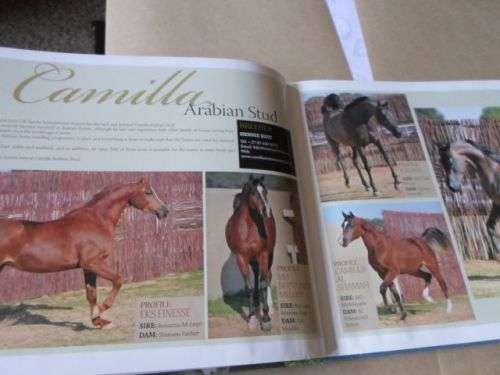 ARABIANS OF SOUTHERN AFRICA 2009