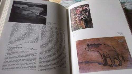 ART & ARTISTS OF SOUTH AFRICA - ESME BERMAN