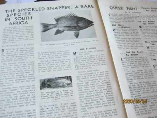 THE SOUTH AFRICAN ANGLER AUGUST 1949