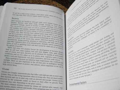 THE GARDEN GUARDIAN'S GUIDE TO ENVIRONMENTALLY-RESPONSIBLE GARDEN CARE - JOHAN GERBER