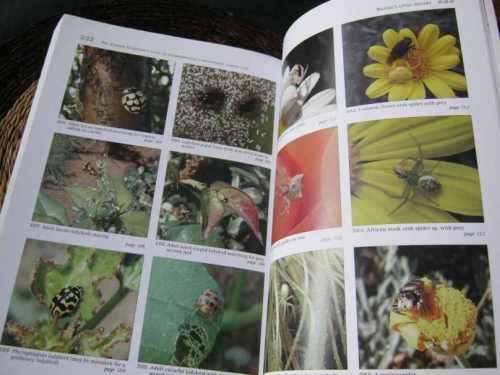 THE GARDEN GUARDIAN'S GUIDE TO ENVIRONMENTALLY-RESPONSIBLE GARDEN CARE - JOHAN GERBER