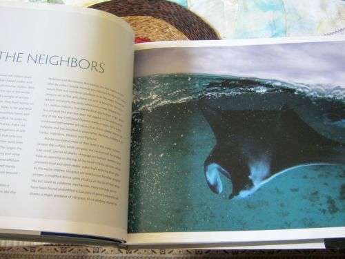 SHARKS & PEOPLE - THOMAS P PESCHAK