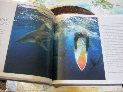 SHARKS & PEOPLE - THOMAS P PESCHAK