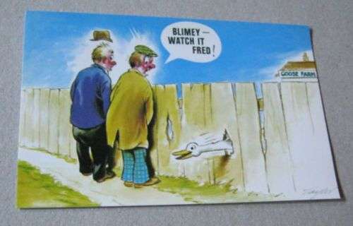 ' BLIMEY - WATCH IT FRED ! - POST CARD