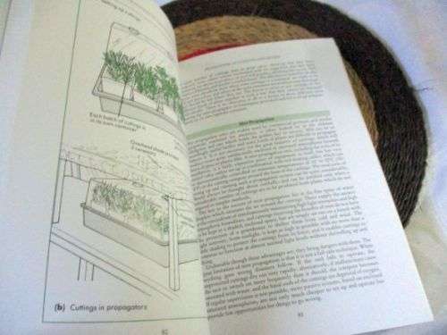 CREATIVE PROPAGATION - A GROWER`S GUIDE - PETER THOMPSON