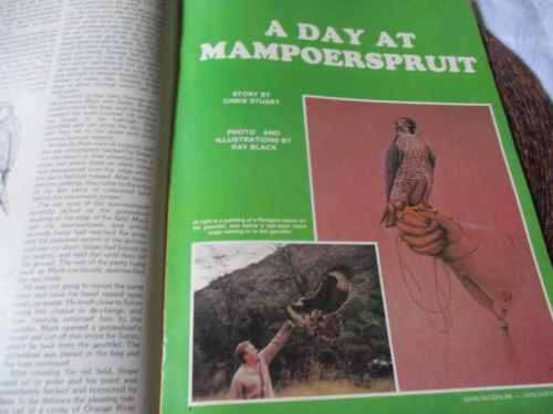 SA MAN / MAGNUM MAGAZINE JAN 1984 ( FALCONRY,