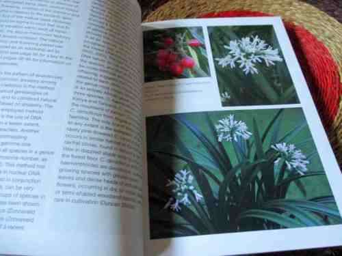 GROW CLIVIAS - GRAHAM DUNCAN - KIRSTENBOSCH GARDENING SERIES