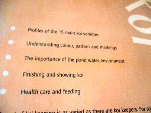 KOI - A HANDBOOK ON KEEPING NISHIKIGOI - SERVAAS DE KOCK & RONNIE SWART