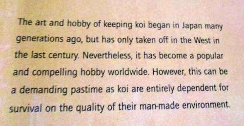 KOI - A HANDBOOK ON KEEPING NISHIKIGOI - SERVAAS DE KOCK & RONNIE SWART