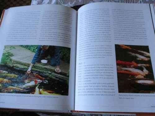 KOI - A HANDBOOK ON KEEPING NISHIKIGOI - SERVAAS DE KOCK & RONNIE SWART