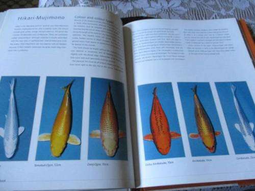 KOI - A HANDBOOK ON KEEPING NISHIKIGOI - SERVAAS DE KOCK & RONNIE SWART