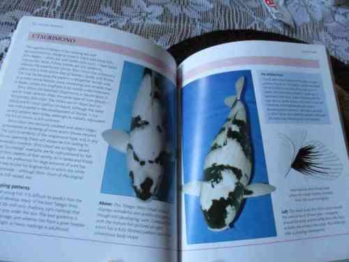 THE WORLD OF KOI - MINI ENCYCLOPEDIA - KEITH HOLMES, TONY PITHAM, NICK FLETCHER