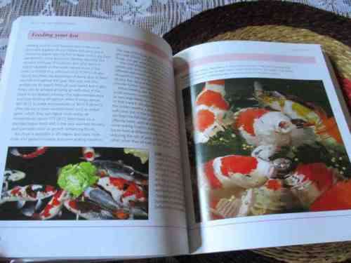 THE WORLD OF KOI - MINI ENCYCLOPEDIA - KEITH HOLMES, TONY PITHAM, NICK FLETCHER