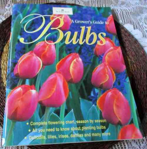 A GROWERS GUIDE  TO BULBS - MARGARET HANKS - WOOLWORTHS