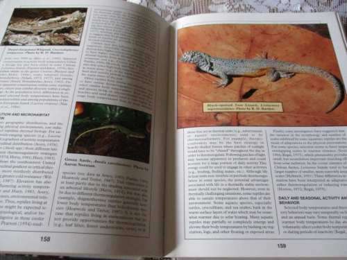 THE BIOLOGY,  HUSBANDRY AND HEALTH CARE OF REPTILES - VOLUME 1 - THE BIOLOGY OF REPTILES - LOWELL
