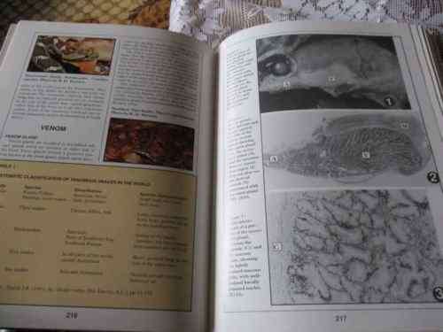 THE BIOLOGY,  HUSBANDRY AND HEALTH CARE OF REPTILES - VOLUME 1 - THE BIOLOGY OF REPTILES - LOWELL