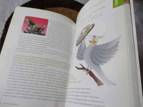 ASK THE BIRD KEEPER - MARC MORRONE