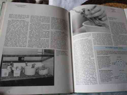 THE COMPLETE CAGE AND AVIARY BIRD HANDBOOK - DAVID ALDERTON