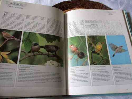 THE COMPLETE CAGE AND AVIARY BIRD HANDBOOK - DAVID ALDERTON