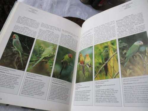 THE COMPLETE CAGE AND AVIARY BIRD HANDBOOK - DAVID ALDERTON
