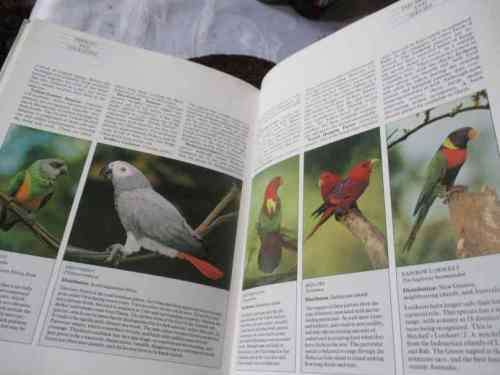 THE COMPLETE CAGE AND AVIARY BIRD HANDBOOK - DAVID ALDERTON